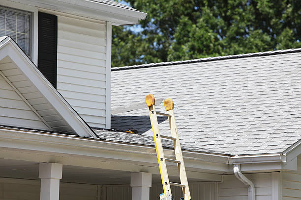 Best Storm Damage Siding Repair  in Connelly Springs, NC